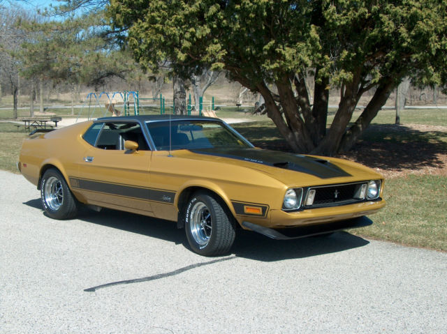 1973 Ford Mustang (GOLD GLOW/Black)