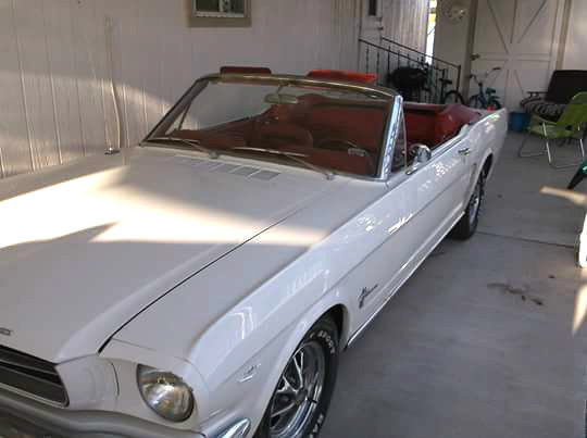 1964 Ford Mustang (White/Red)