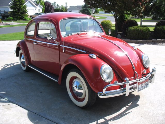 1961 Volkswagen Beetle - Classic (Red/Gray)