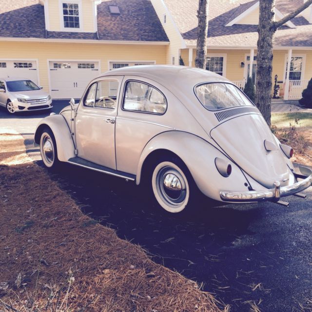 1960 Volkswagen Beetle - Classic (Gray/2 tone)