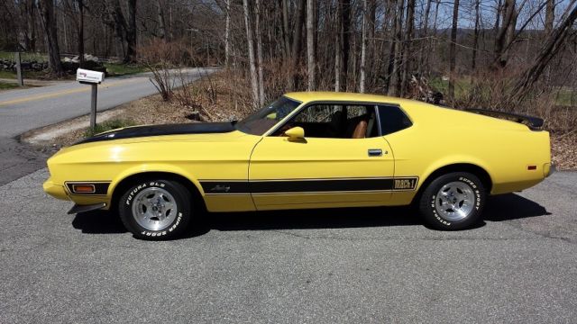 1973 Ford Mustang (Med Brt Yellow (Code 6E)/Ginger (Code AF))