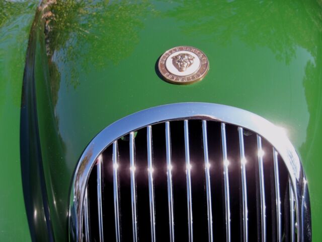 1954 Jaguar XK (British Racing Green/Suede Green)