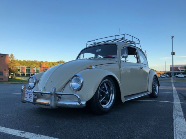 1967 Volkswagen Beetle - Classic (Tan/Tan)