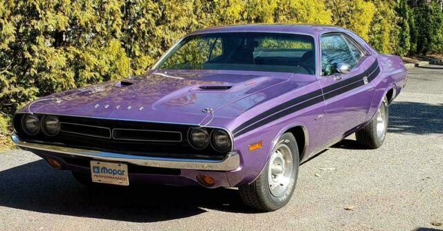 1971 Dodge Challenger (Purple/Black)