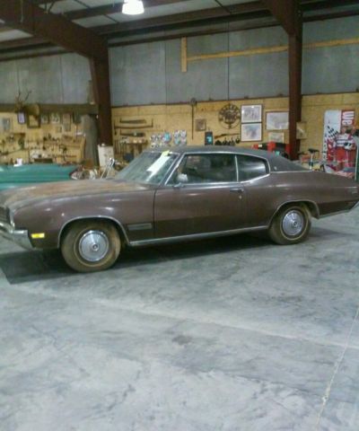 1971 Buick Skylark (rosewood mettalic/camel brown)