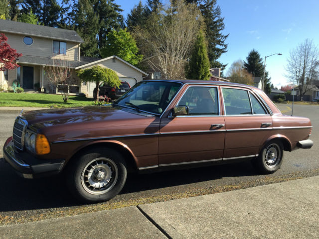 1978 Mercedes-Benz 300-Series (Brown/Tan)