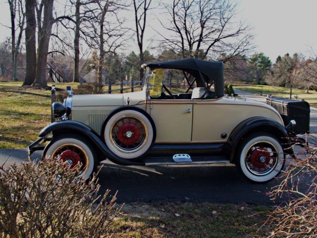 1979 Ford Fairlane (Yellow/Black)
