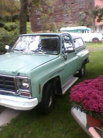 1979 Chevrolet C-10 (Green/Black)