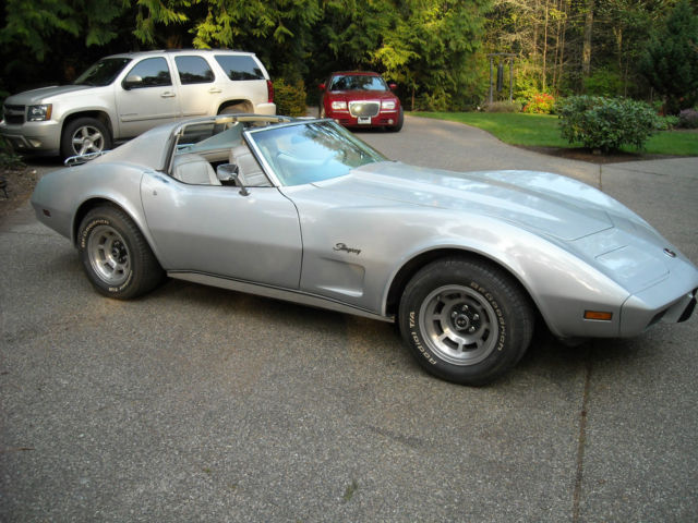 1976 Chevrolet Corvette (Silver/Gray)