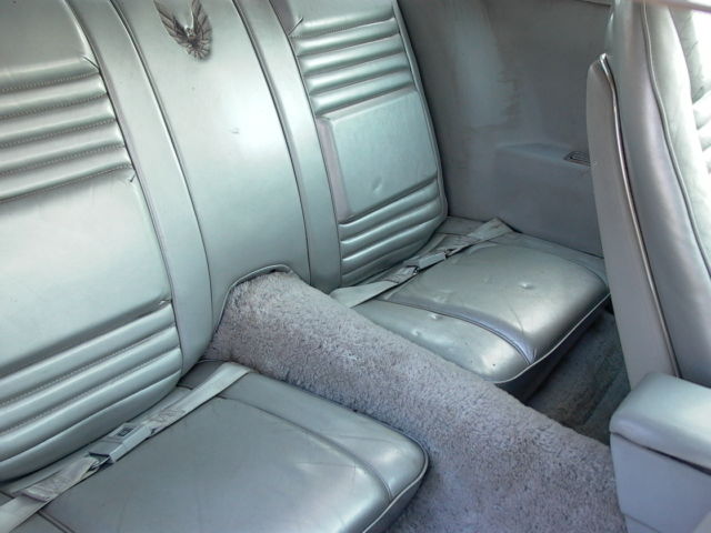 1979 Pontiac Trans Am (Silver/Silver)