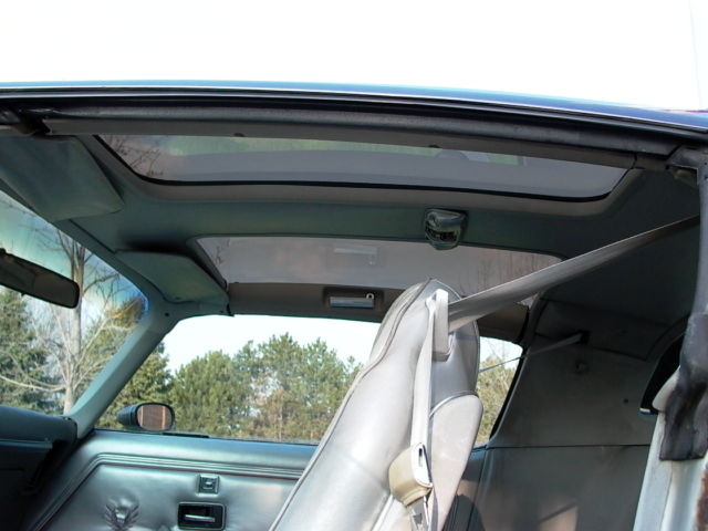 1979 Pontiac Trans Am (Silver/Silver)