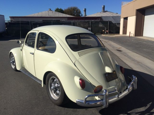 1966 Volkswagen Beetle - Classic (Off-White/Saddle)