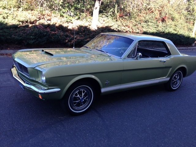 1966 Ford Mustang (Gold/Tan)