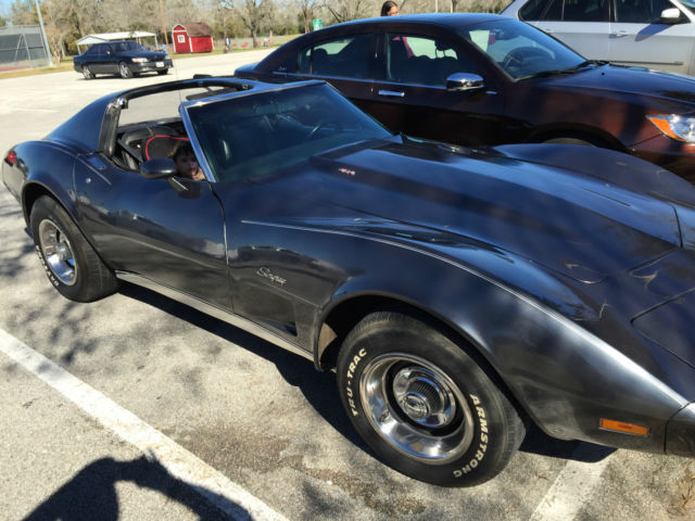 1974 Chevrolet Corvette (Gray/Black)