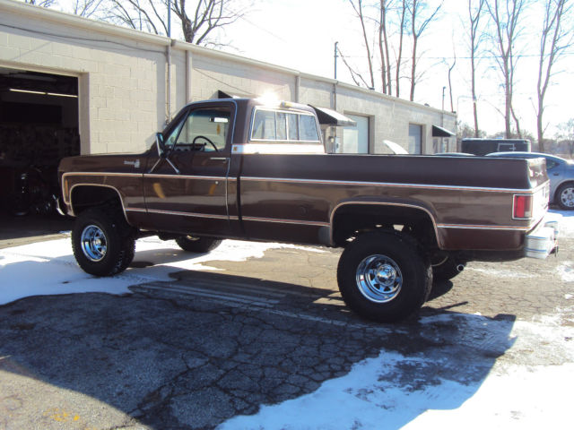 1978 Chevrolet C-10 (Brown/Red)