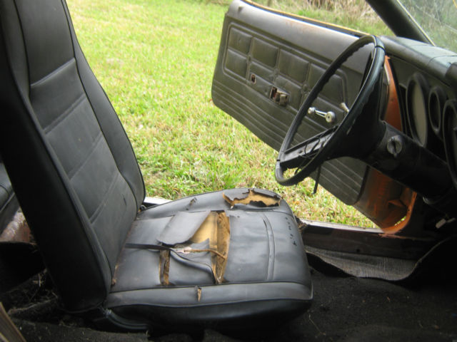 1973 Ford Mustang (Raven Black/Black)