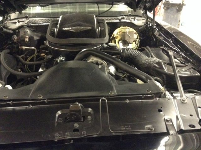 1979 Pontiac Trans Am