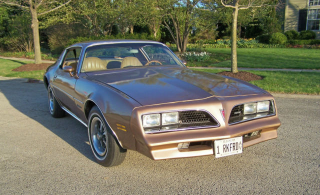 1977 Pontiac Firebird (Gold/Tan)