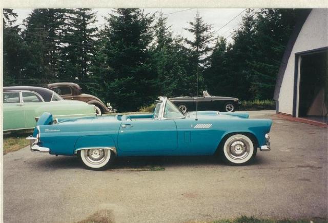 1956 Ford Thunderbird (Peacock Blue/Blue and White)
