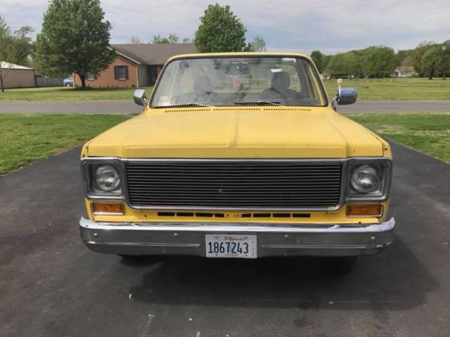 1974 Chevrolet C-10 (Yellow/Black)