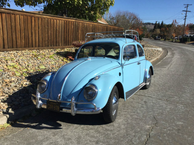 1964 Volkswagen Beetle - Classic (Blue/Blue)