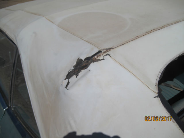 1967 Ford Galaxie (Blue/Blue)