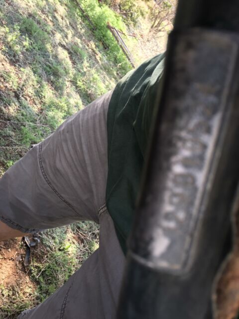 1969 Porsche 911 (--/--)