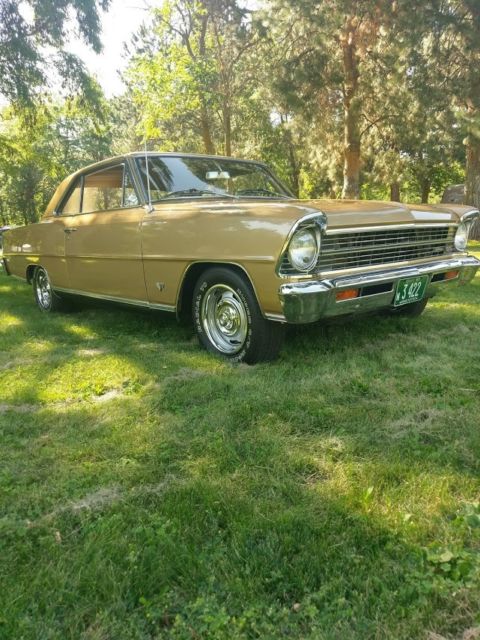 1967 Chevrolet Nova (Gold/Gold)
