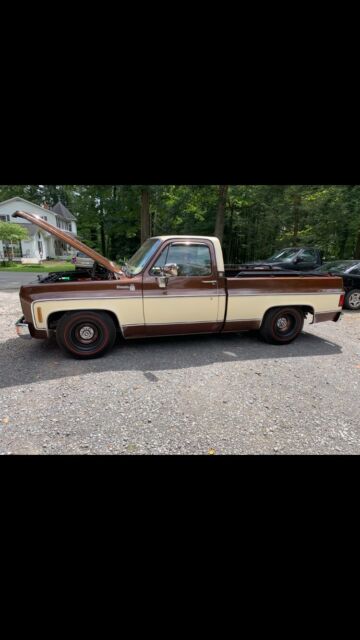 1978 Chevrolet C-10 (Brown/Tan/Tan)