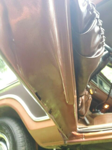 1978 Ford F-150 (Brown/Brown)