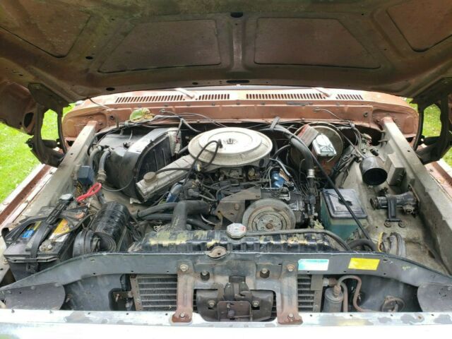 1978 Ford F-150 (Brown/Brown)