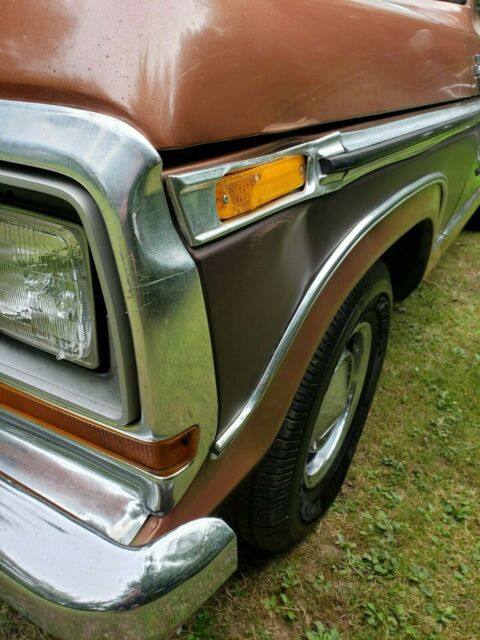 1978 Ford F-150 (Brown/Brown)