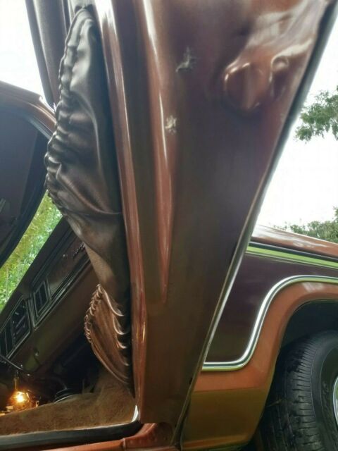 1978 Ford F-150 (Brown/Brown)