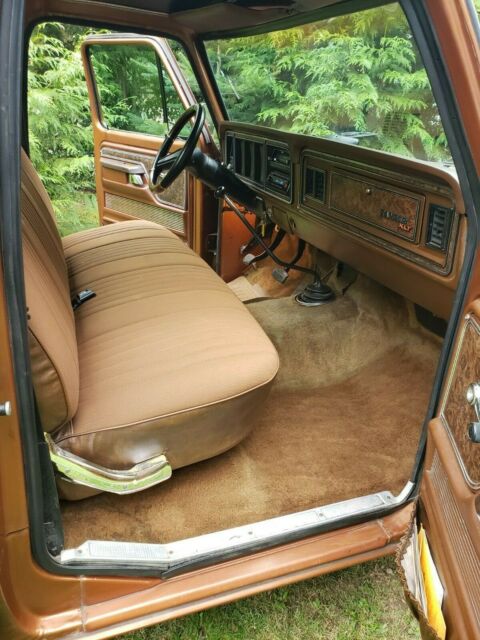 1978 Ford F-150 (Brown/Brown)