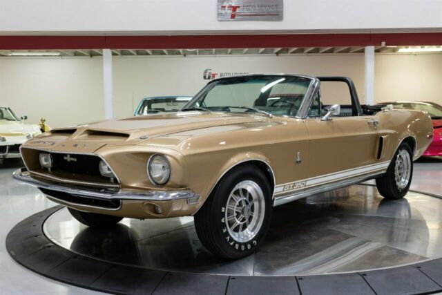 1968 Shelby All Models (Gold/Black)