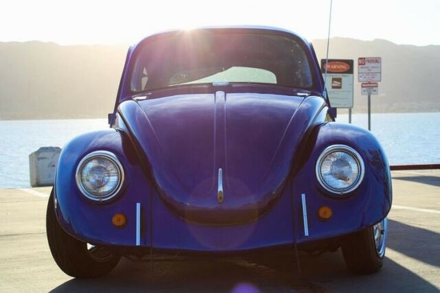 1969 Volkswagen Beetle (Blue/Green)