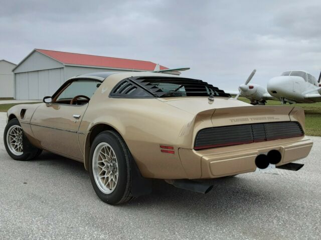 1980 Pontiac Trans Am (Gold/Tan)
