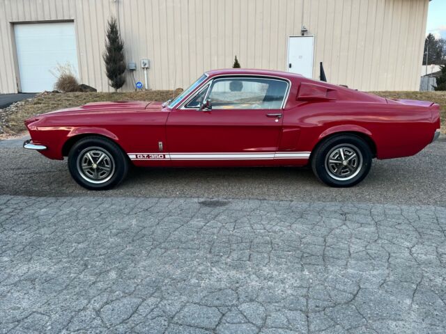 1967 Ford Shelby (Red/Blue)