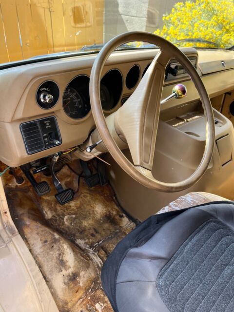 1979 Dodge B100 (Tan/Brown)