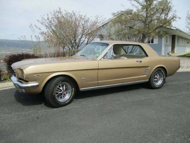 1966 Ford Mustang (Antique Bronze/Parchment)