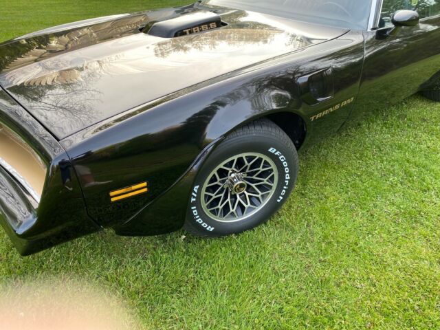 1978 Pontiac Trans Am (Black/Blue)