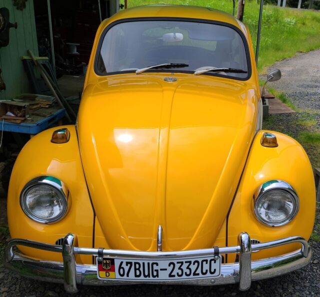 1967 Volkswagen Beetle - Classic (Yellow/White)