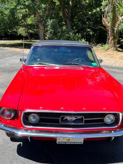 1967 Ford Mustang (Red/Blue)