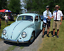 1957 Volkswagen Beetle - Classic (Blue/Blue)