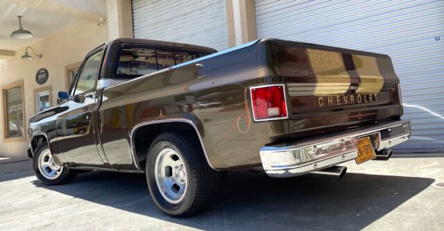 1978 Chevrolet C-10 (Brown/Red)