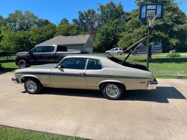 1973 Chevrolet Nova (Green/Gray)