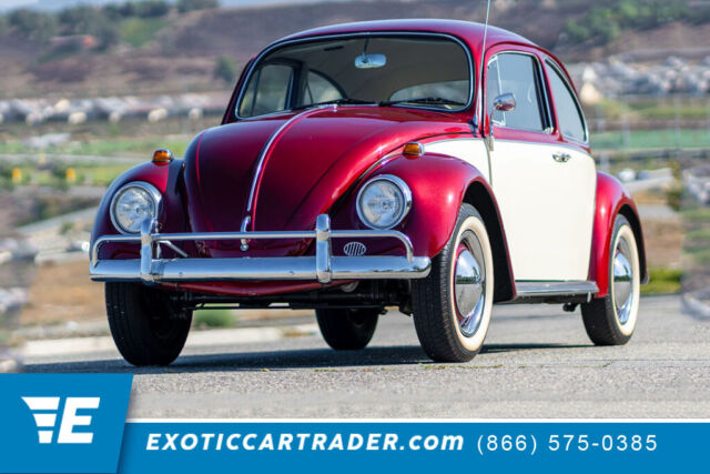 1967 Volkswagen Beetle - Classic (Candy Apple Burgundy/Creamy White/Tan)