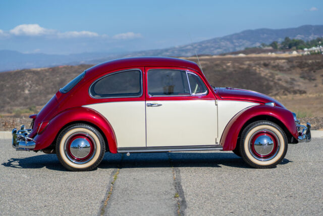 1967 Volkswagen Beetle - Classic (Candy Apple Burgundy/Creamy White/Tan)